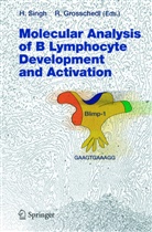 Grosschedl, Grosschedl, R. Grosschedl, Rudolf Grosschedl, H. Singh, Harinde Singh... - Molecular Analysis of B Lymphocyte Development and Activation
