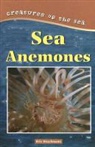 Kris Hirschmann - Sea Anemones