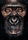 James Mollison, James Mollison - James and Other Apes