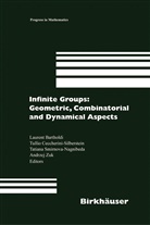 Laurent Bartholdi, Laurent (Hrsg.) Bartholdi, Tulli Ceccherini-Silberstein, Tullio Ceccherini-Silberstein, Tullio (Hrsg.) Ceccherini-Silberstein, Smirnova-Nagnibeda... - Infinite Groups: Geometric, Combinatorial and Dynamical Aspects