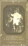 Aidan Higgins - Scenes From A Receding Past