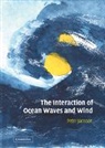 P. A. E. Janssen, Peter Janssen, Peter (European Centre for Medium-Range W Janssen, Janssen Peter - Interaction of Ocean Waves and Wind