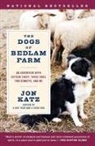 Jon Katz - The Dogs of Bedlam Farm