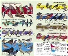 Kenn Kaufman, Kaufman Kenn Kaufman - Kaufman Field Guide to Birds Of North America