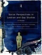 Peter M. Nardi, Peter M. Schneider Nardi, Beth E. Schneider, Peter M Nardi, Peter M. Nardi, Beth E Schneider... - Social Perspectives in Lesbian and Gay Studies