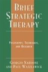 Giorgio Nardone, Giorgio Watzlawick Nardone, Paul Watzlawick - Brief Strategic Therapy