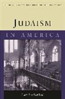 Marc Lee Raphael, Raphael Marc Lee - Judaism in America