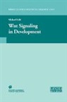 Michae Kühl, Michael Kühl - Wnt Signaling in Development
