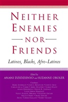 A Dzidzienyo, A. Dzidzienyo, Anani Dzidzienyo, Oboler, Professor Suzanne Oboler, Professor Suzanne Dzidzienyo Oboler... - Neither Enemies Nor Friends