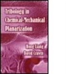 David Craven, David Liang Craven, Craven David, CRAVEN DAVID LIANG HONG, John Givens, Hong Liang... - Tribology in Chemical-Mechanical Planarization