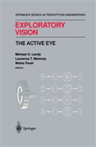 M. S. Landy, R. C. Jain, Michael S Landy, Michael S. Landy, Laurence T Maloney, Laurence T. Maloney... - Exploratory Vision