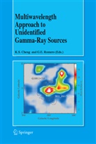 K S Cheng, K. S. Cheng, K.S. Cheng, Ka-Lok Cheng, E Romero, E Romero... - Multiwavelength Approach to Unidentified Gamma-Ray Sources