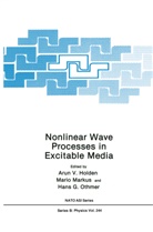 Hans G Othmer, Arunn V. Holden, Mari Markus, Mario Markus, Hans Othmer, Hans G. Othmer - Nonlinear Wave Processes in Excitable Media