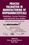 Anurag S. Sofer Rathore, Anurag Singh Rathore, Rathore Singh Rathore, Gail Sofer, SOFER G K RATHORE ANURAG S, Anurag S. Rathore... - Process Validation in Manufacturing of Biopharmaceuticals