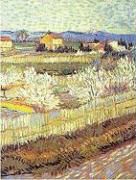 Susan E. Eichhorn, Ray F. Evert, Peter H. Raven, Peter H./ Evert Raven - Biology of Plants