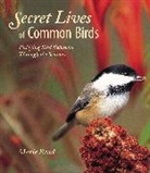 Marie Read, Marie Read - Secret Lives of Common Birds