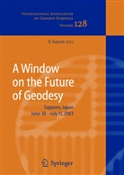 F. Sansò, F. Sanso, Fernando Sanso, Fernando Sansò - A Window on the Future of Geodesy