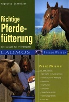 Angelika Schmelzer - Richtige Pferdefütterung