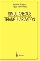 Heyda Radjavi, Heydar Radjavi, Peter Rosenthal - Simultaneous Triangularization