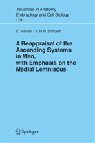 E. Marani, Enric Marani, Enrico Marani, J H R Schoen, J. H. Schoen, J. H. R. Schoen... - A Reappraisal of the Ascending Systems in Man, with Emphasis on the Medial Lemniscus