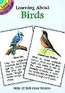 Activity Books, Ruth Soffer, Ruth Bcdp Softer - Learning About Birds