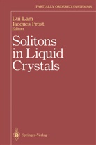 Lu Lam, Lui Lam, PROST, Prost, Jacques Prost - Solitons in Liquid Crystals