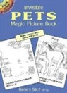 Activity Books, Barbara Soloff Levy, Barbara Soloff Levy, Barbara Soloff-Levy - Invisible Pets Magic Picture Book
