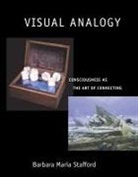 Barbara Maria Stafford - Visual Analogy