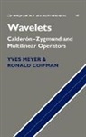 Ronald Coifman, Yves Meyer - Wavelets