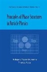 Meyer-ortmanns Hildegard, Hildegard Meyer-Ortmanns, Thomas Reisz - Principles of Phase Structures in Particle Physics
