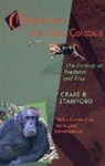 Craig Stanford, Craig B. Stanford, Richard Stanford, Richard Wrangham, Richard W. Wrangham - Chimpanzee and Red Colobus