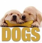 Vito Bruno, Enrico Lavagno - Dogs