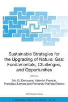 E. G. Derouane, E.G. Derouane, Eric G. Derouane, Francisco Lemos, Francisco Lemos et al, Valenti Parmon... - Sustainable Strategies for the Upgrading of Natural Gas: Fundamentals, Challenges, and Opportunities