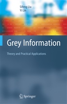 Yi Lin, Yi-Tien Lin, Sifen Liu, Sifeng Liu - Grey Information