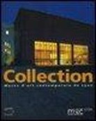Collectif, Hervé Percebois, Musée d'art contemporain (Lyon), Raspail Thierry, Thierry Raspail - COLLECTION MUSEE D ART CONTEMPORAIN DE L