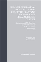 Christopher Lyl Borst, Christopher Lyle Borst, William Gill, William N Gill, William N. Gill, R Gutmann... - Chemical-Mechanical Polishing of Low Dielectric Constant Polymers and Organosilicate Glasses