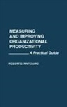Robert Pritchard, Robert D. Pritchard - Measuring and Improving Organizational Productivity