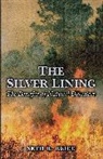 Seth Reice, Seth R. Reice, Seth Robert Reice, Reice Seth R. - Silver Lining