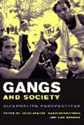 Louis Brotherton Kontos, Elisabeth Reichert, Luis Barrios, Luis (Associate Professor of Psychology and Ethnic Studies Barrios, Barrios Luis, David Brotherton... - Gangs and Society