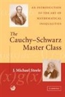 J. Michael Steele, J. Michael (University of Pennsylvania) Steele, Michael Steele - The Cauchy-Schwaz Master Class: