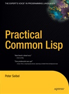 Peter Seibel - Practical Common Lisp