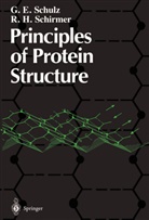 R H Schirmer, R. H. Schirmer, R. Heiner Schirmer, G Schulz, G E Schulz, G. E. Schulz... - Principles of Protein Structure
