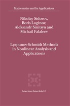 M. V. Falaleev, M.V. Falaleev, Bori Loginov, Boris Loginov, Nikola Sidorov, Nikolay Sidorov... - Lyapunov-Schmidt Methods in Nonlinear Analysis and Applications