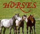 Seymour Simon - Horses
