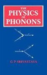G P Srivastava, G. P. Srivastava, G.P Srivastava, G.p (Physics Department Srivastava, G.P. Srivastava, Gyaneshwar P. Srivastava - Physics of Phonons
