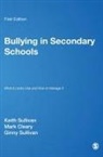 Mark Cleary, Ginny Sullivan, Keith Sullivan, Keith Cleary Sullivan - Bullying in Secondary Schools
