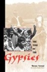 Michael Stewart, Pierre Bourdieu, John Comaroff - Time of the Gypsies