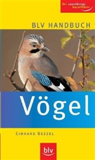 Einhard Bezzel - Vögel