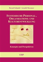 Arnold Messmer, Bernd Schmid, Bernd (Dr. phil. Schmid, Bernd (Dr. phil.) Schmid, Ingeborg Weidner - Systemische Personal-, Organisations- und Kulturentwicklung