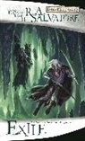 R A Salvatore, R. A. Salvatore, R.A. Salvatore - Forgotten Realms, the Legend of Drizzt 2